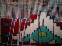 Fars Gelim ( Kilim )
