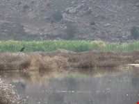 دریاچه پریشان