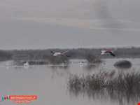 دریاچه پریشان