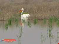 دریاچه پریشان