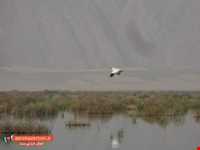 دریاچه پریشان