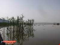 دریاچه پریشان