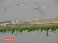 دریاچه پریشان