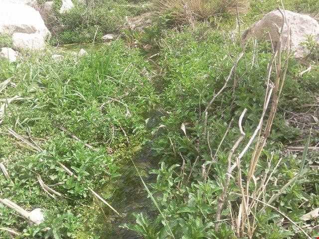 دریاچه پریشان