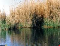 دریاچه پریشان