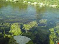 کاخ اردشیر بابکان