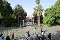 باغ عفیف آباد