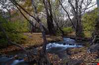 Giyan Mirage ( Sarab Gian)