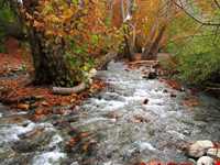 Giyan Mirage ( Sarab Gian)