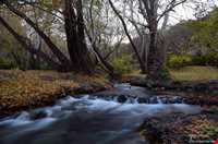 Giyan Mirage ( Sarab Gian)