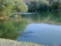 سد شهید کاظمی ( سد بوکان )