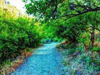 آبشار شلماش