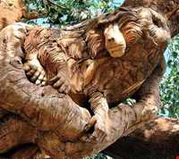 Monabat ( Marquetry - Wood carving )