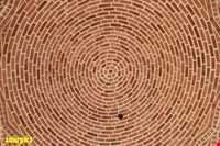 Tomb of Sheikh Heydar