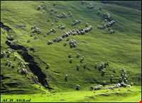 جاده گردشگری خلخال – اسالم