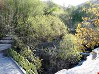 دربند صحنه ( سراب صحنه )