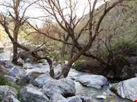 دربند صحنه ( سراب صحنه )