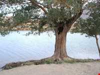 چشمه و آبشار غربالبیز