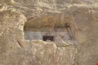 گور دخمه صحنه (  شیرین فرهاد )