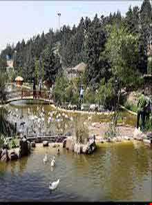 باغ پرندگان تهران