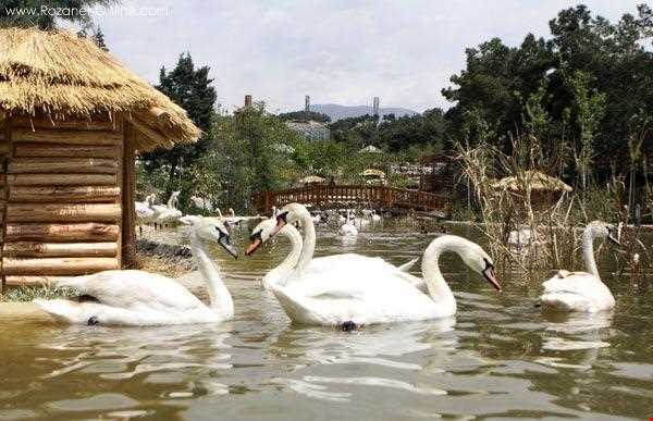 Tehran birds garden