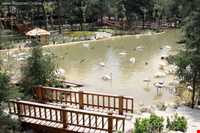 Tehran birds garden