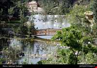 Tehran birds garden