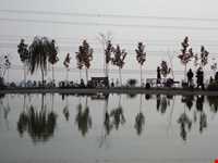 آبشار تهران