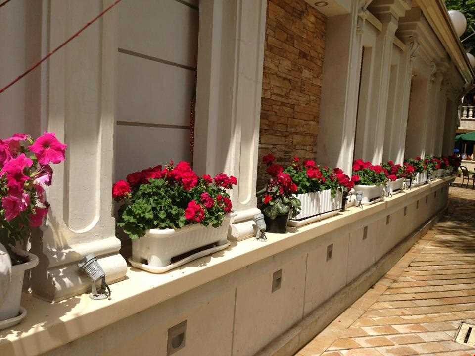 بوستان باغ ایرانی