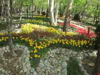 بوستان باغ ایرانی