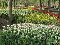 بوستان باغ ایرانی