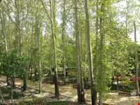 بوستان باغ ایرانی