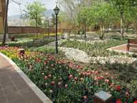 بوستان باغ ایرانی