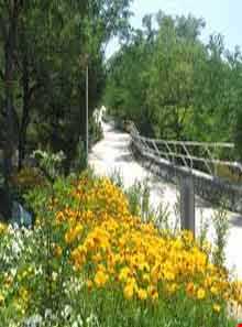 پارک بهشت مادران