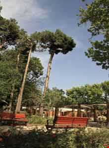 بوستان ولایت - شهر بانوان