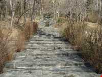 بوستان جمشیدیه