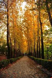 بوستان جمشیدیه