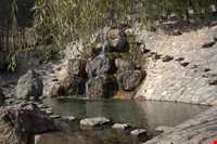 بوستان جمشیدیه