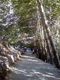 بوستان جمشیدیه