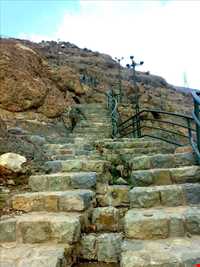 بوستان جمشیدیه