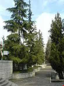 بوستان نیاوران