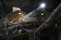 عصارخانه شاهی