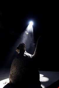 عصارخانه شاهی