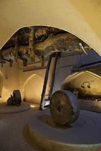 عصارخانه شاهی