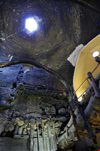 عصارخانه شاهی