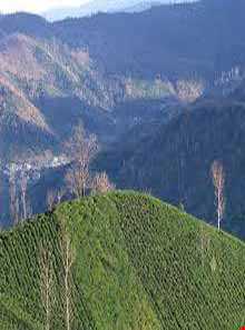 روستای تابستان نشین