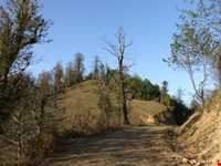 روستای تابستان نشین