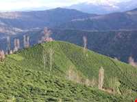 روستای تابستان نشین