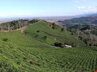 روستای تابستان نشین