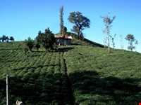 روستای تابستان نشین